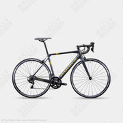Pardus Robin Sport | Carbon Road Bike