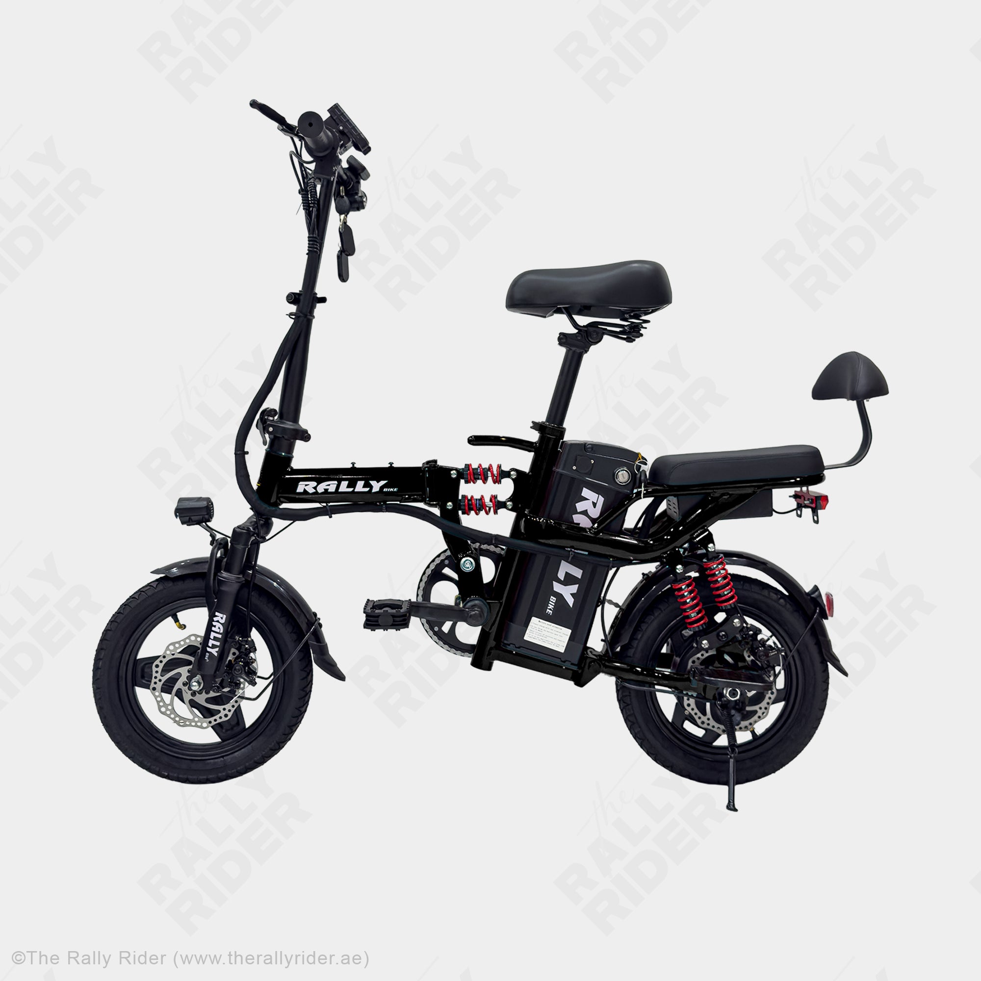 Rally 2014 Folding Electric Bike