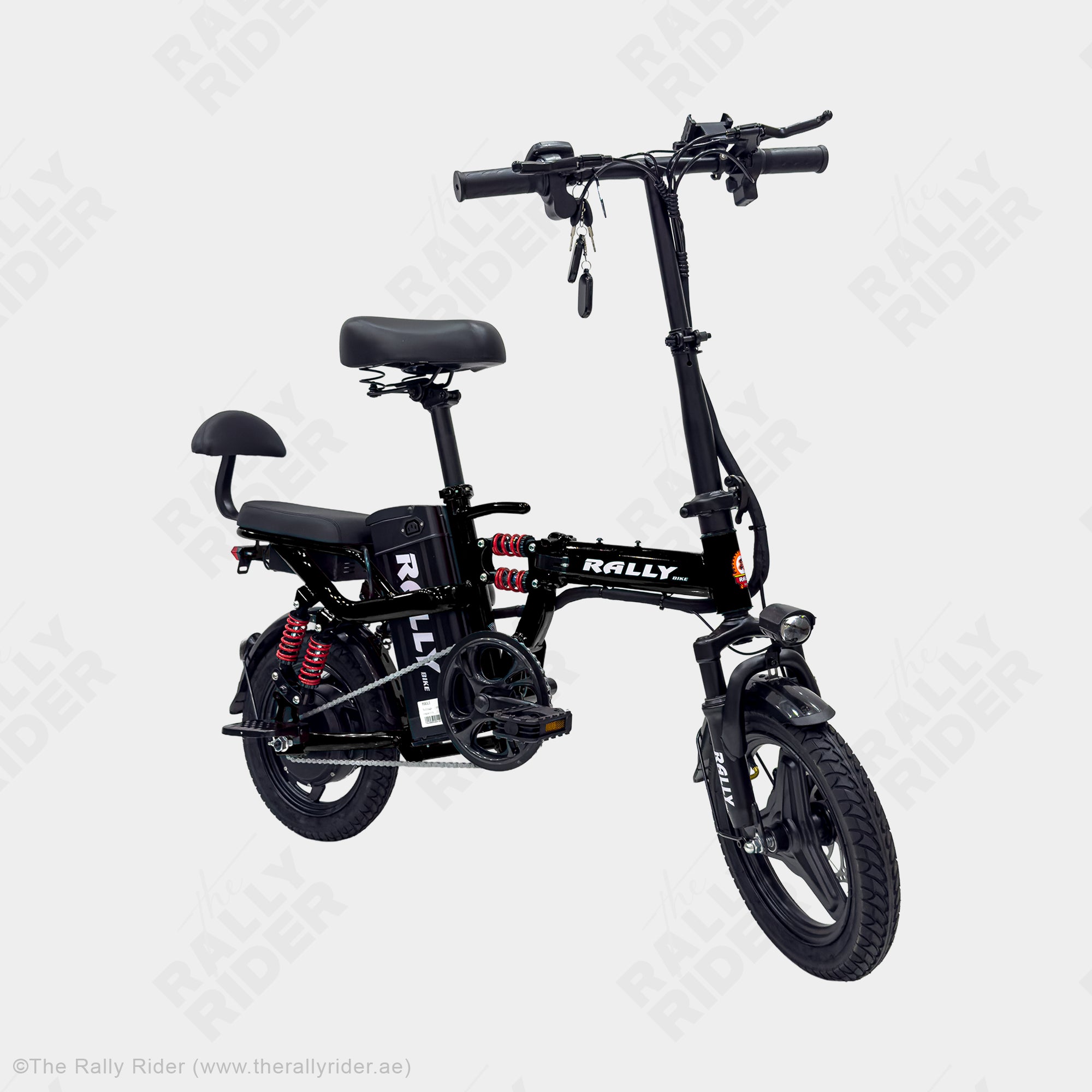 Rally 2014 Folding Electric Bike