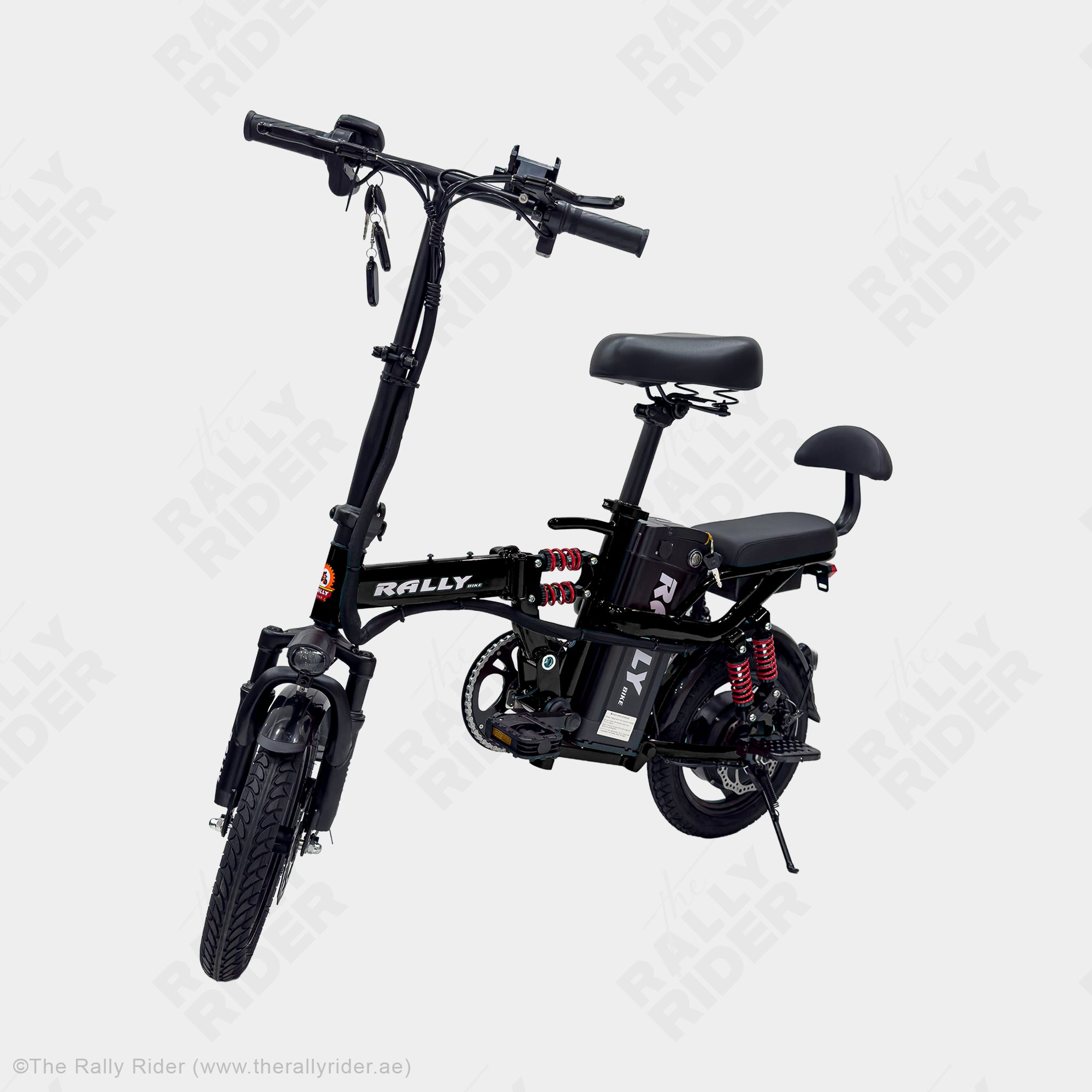 Rally 2014 Folding Electric Bike