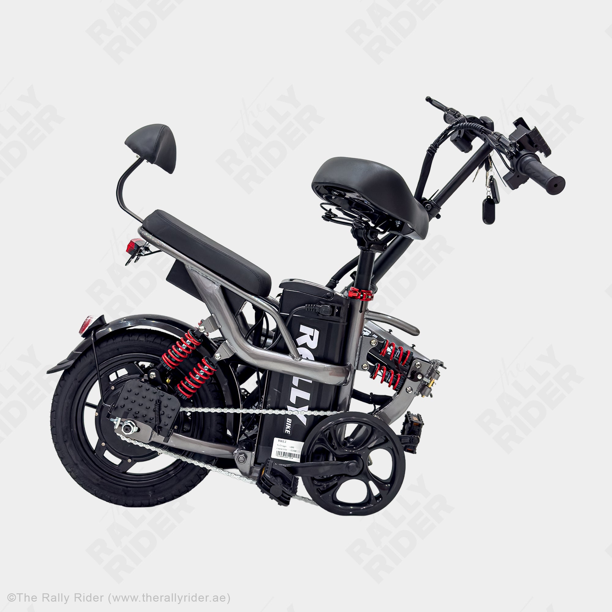Rally 2014 Folding Electric Bike