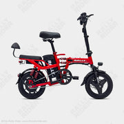 Rally 2014 Folding Electric Bike