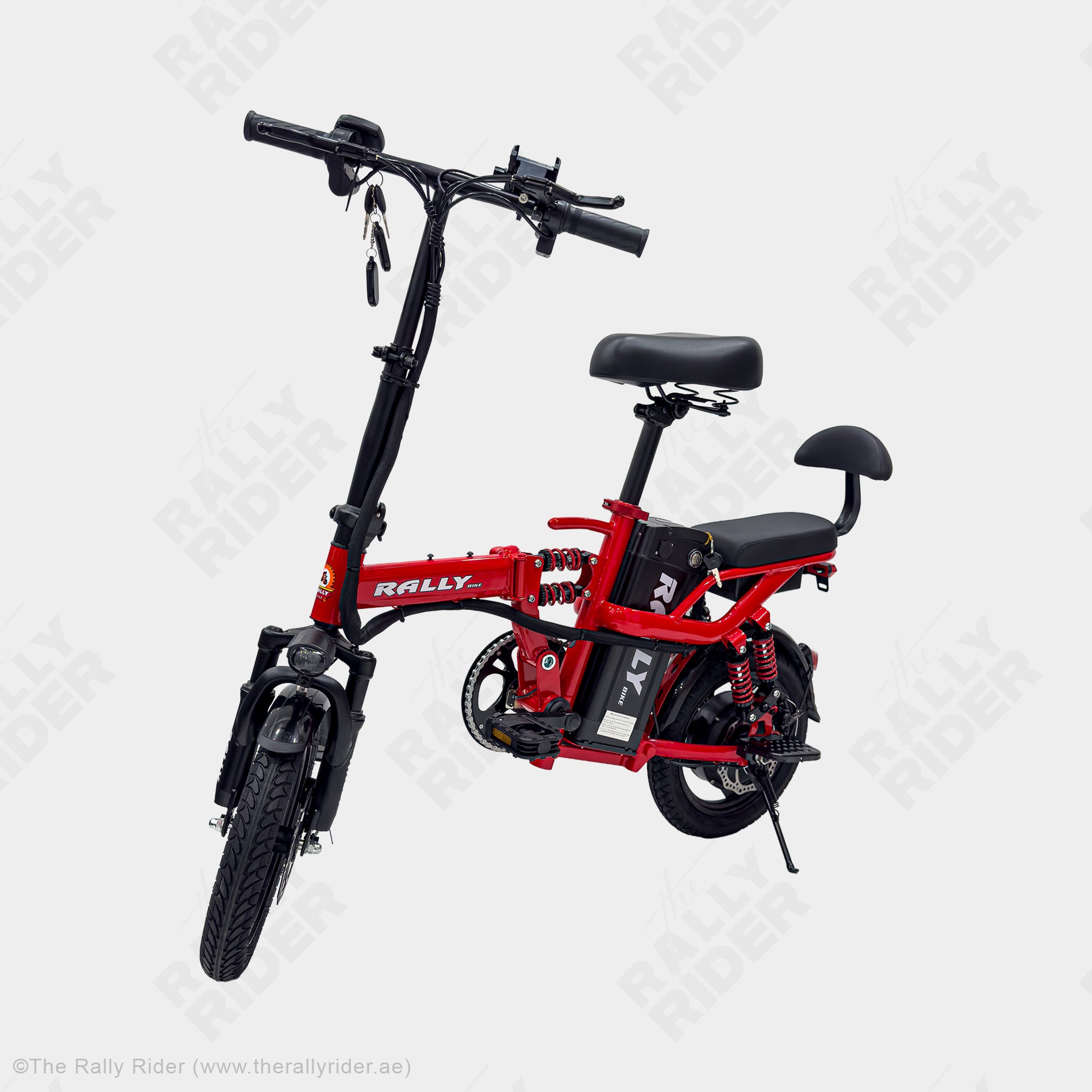 Rally 2014 Folding Electric Bike
